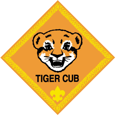Tigers (1st Grade)
